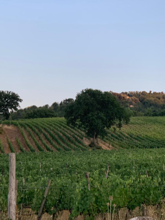 Podere Le Mulina 카스틸리오니도르시아 외부 사진